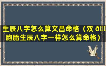 生辰八字怎么算文昌命格（双 🌸 胞胎生辰八字一样怎么算命格）